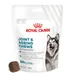 Royal Canin Joint & Ageing Adult Supplement Chews