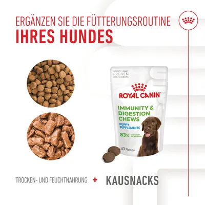 Royal Canin Immunity & Digestion Chews für Welpen. Ergänzen Sie die Fütterungsroutine Ihres Hundes mit Trocken- und Feuchtnahrung plus Kausnacks. Packung enthält 40 Stück.