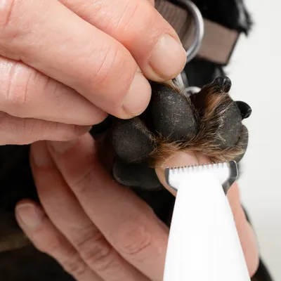 kooa Paw Trimmer