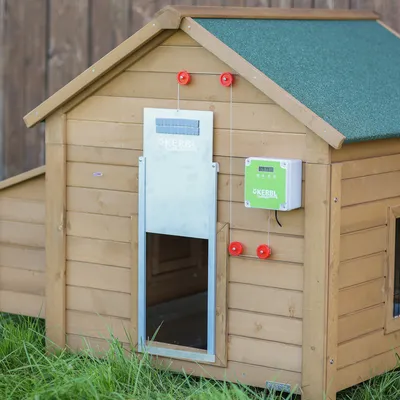 Căsuță din lemn cu control automat al ușii de la Kerbl, ușă metalică și cutie de control cu afișaj digital. Potrivită pentru exterior.