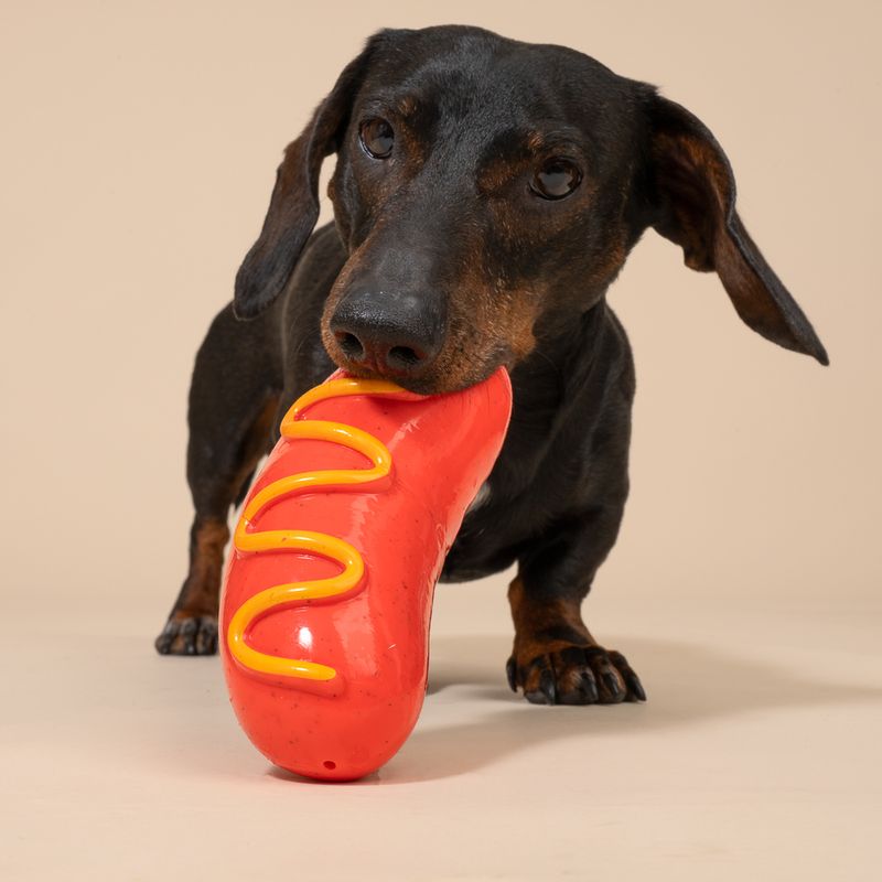 TIAKI ultra močna žvečilna igrača Hotdog
