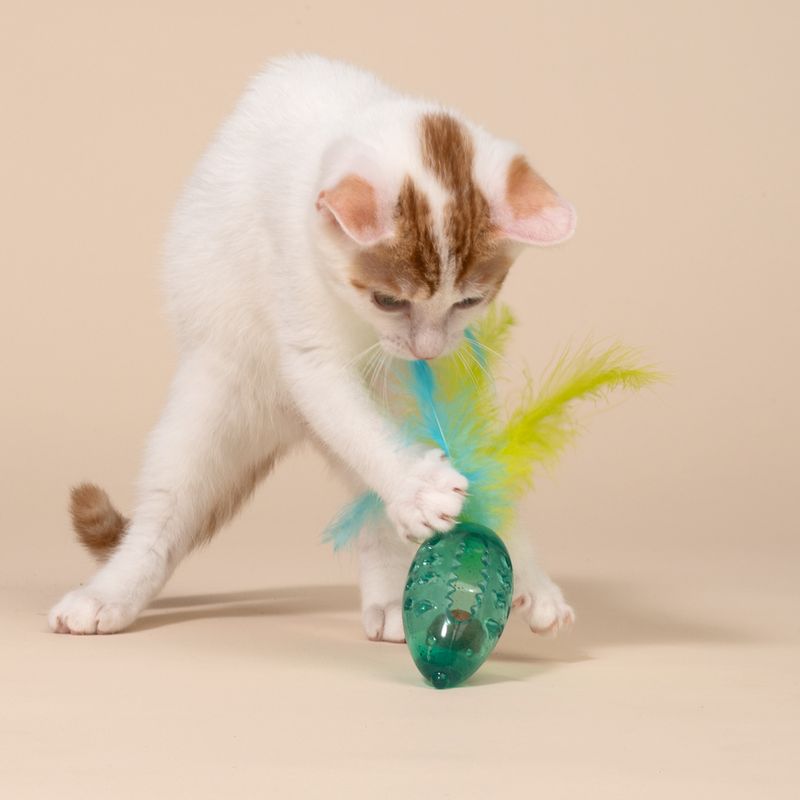 TIAKI Maus mit Katzenminzeball und Federn