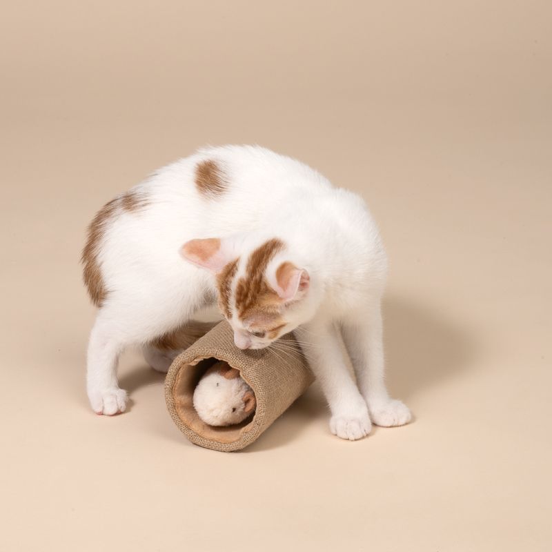 TIAKI Katzenspielzeug Roller mit Maus Roquefort