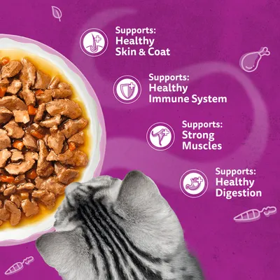 Whiskas 1+ Aromatic Selection Fragrant Fusions in Gravy