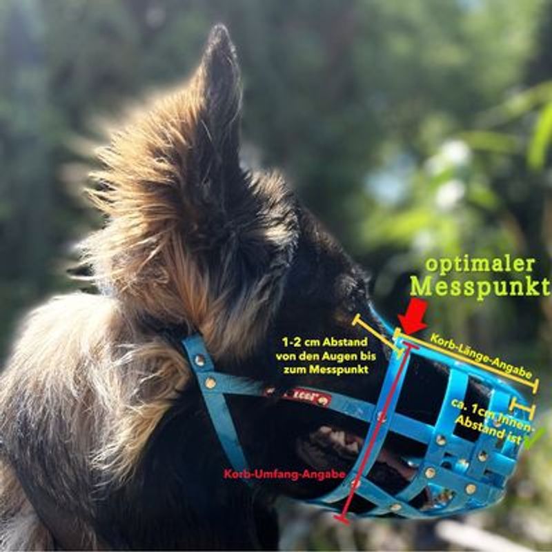 COLORI® Herder muilkorf L, zwart