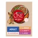 Purina ONE Mini Adult Huhn, Rind & Lamm