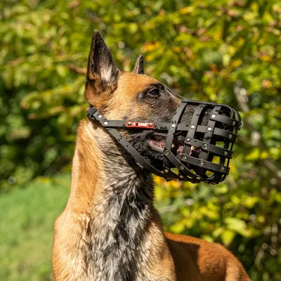 COLORI® 2.0 Maulkorb Schäferhund L, schwarz COLORI® 2.0 Maulkorb Schäferhund L, schwarz