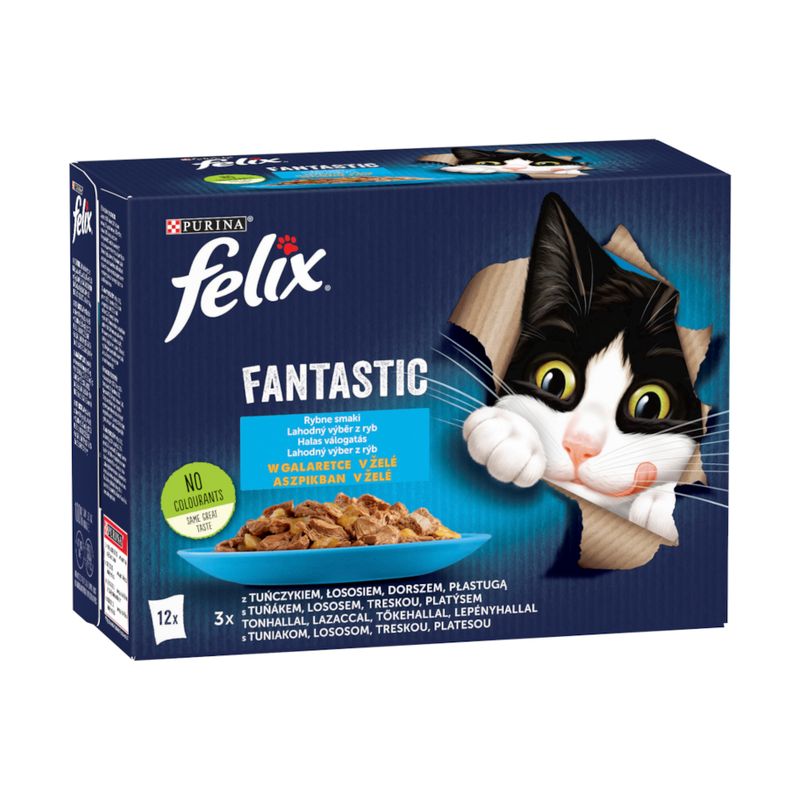 Felix Fantastic 12 x 85 g