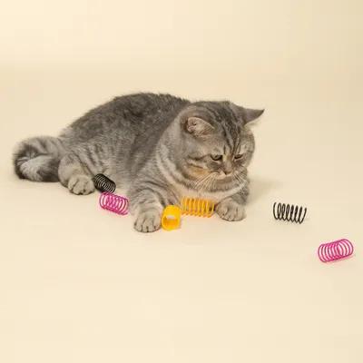 Grå kat leger med farverige spiral-fjedre i gul, pink og sort på lys baggrund.
