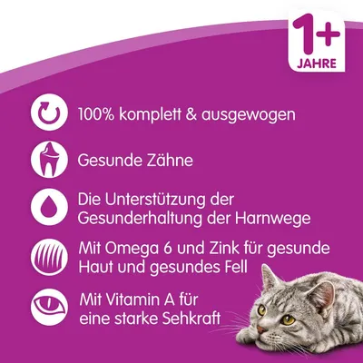 1+ Jahre. 100% komplett & ausgewogen. Gesunde Zähne. Die Unterstützung der Gesunderhaltung der Harnwege. Mit Omega 6 und Zink für gesunde Haut und gesundes Fell. Mit Vitamin A für eine starke Sehkraft.