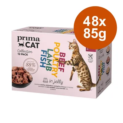 Lot économique PrimaCat Classic en gelée pour chat 