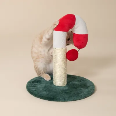 Kratzspielzeug mit rotem und weissem Plüschbogen, Sisal-Kratzstange und grünem Standfuss. Rote Plüschkugel als Spielaccessoire.