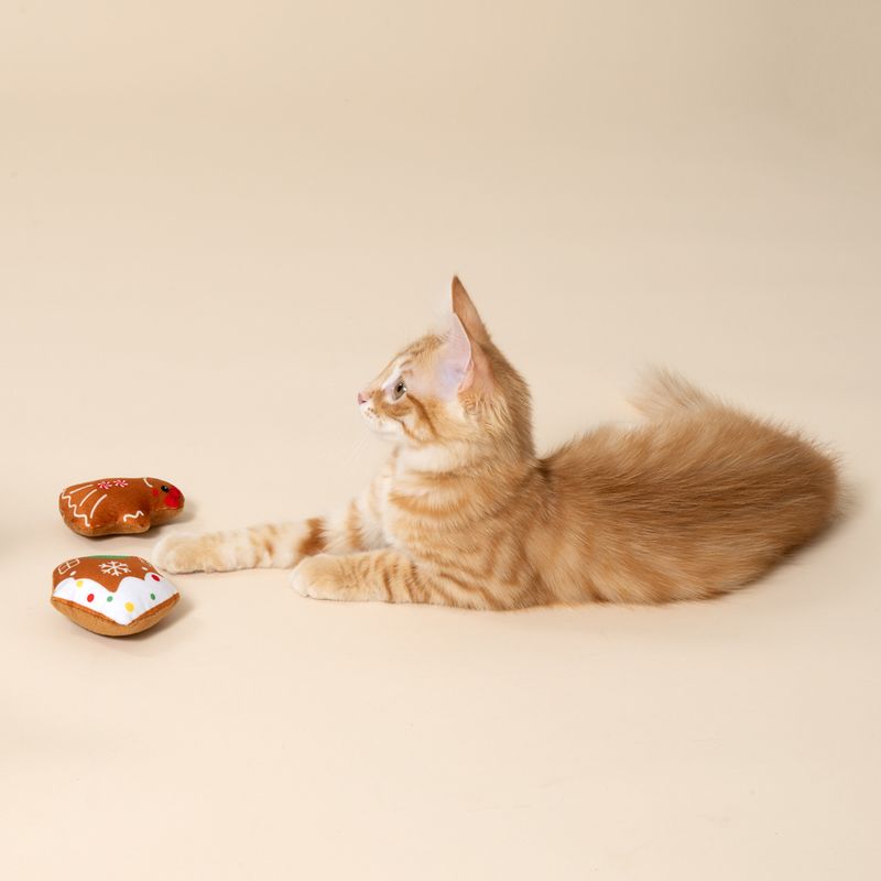 Set TIAKI familia pan de jengibre juguete para gatos