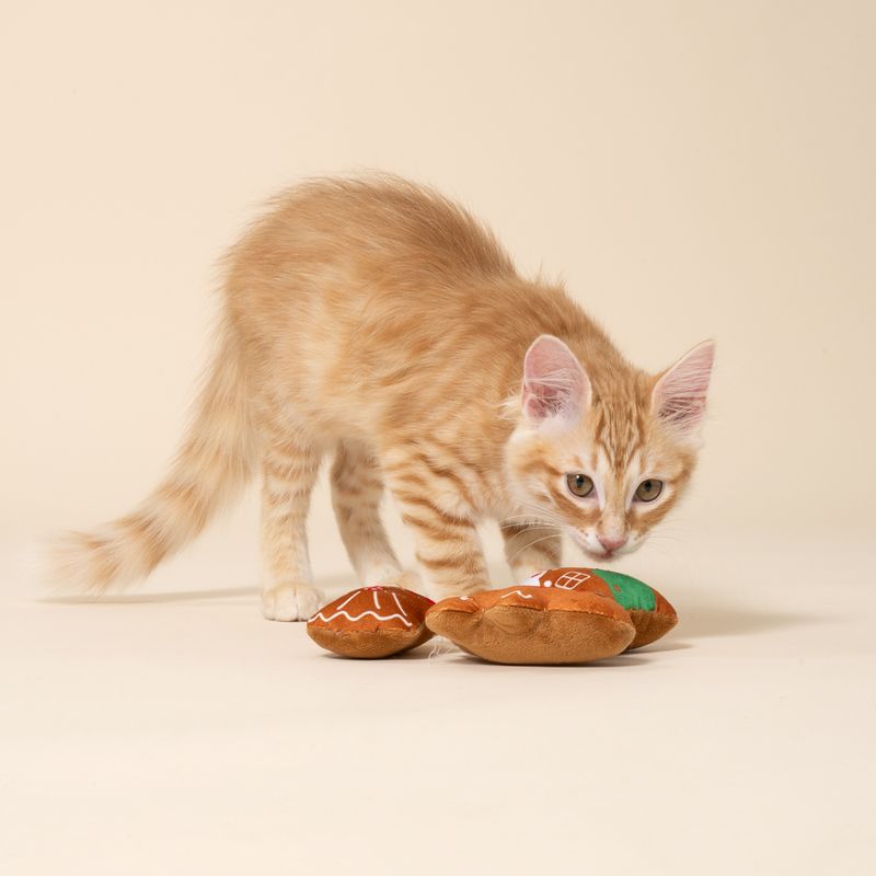 Set TIAKI familia pan de jengibre juguete para gatos