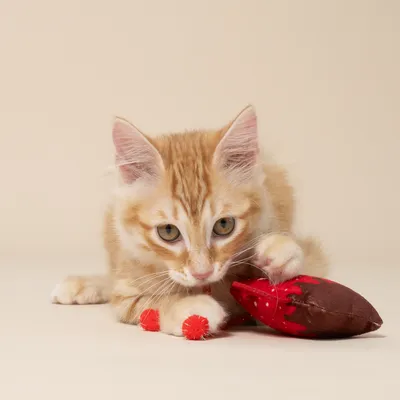 Red and brown fabric toys for cats, including a fish-shaped toy with dots and small red balls.