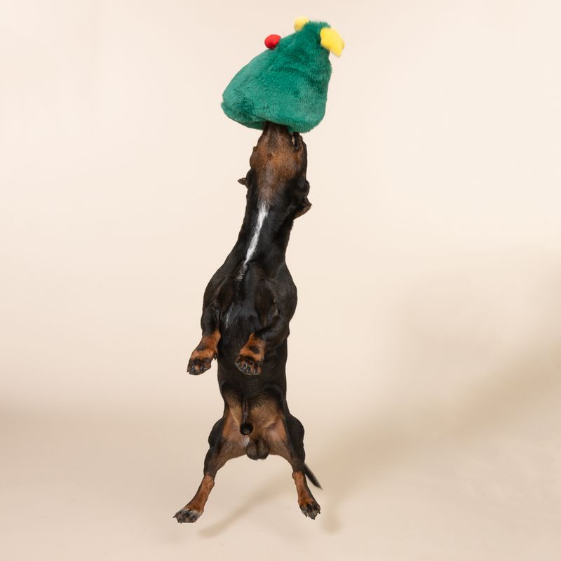 TIAKI Hundespielzeug Geschenkebaum