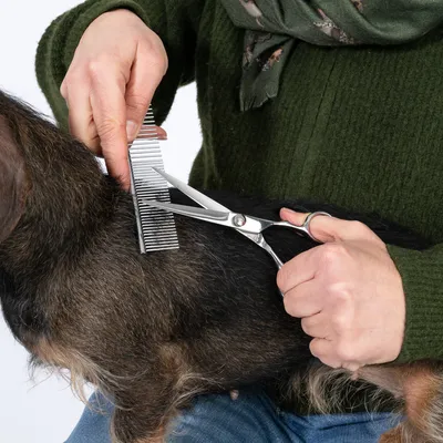 kooa Kit de tonte indispensable kooa Kit de tonte indispensable