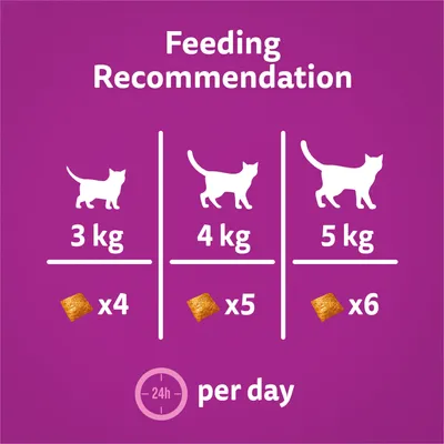Feeding recommendation: 3 kg cat, 4 pieces per day; 4 kg cat, 5 pieces per day; 5 kg cat, 6 pieces per day.