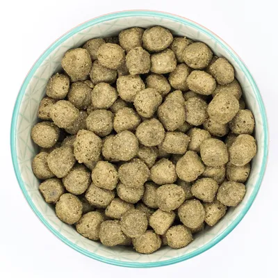Миска с коричневыми круглыми кусочками сухого корма. Изображение продукта для кормления животных.