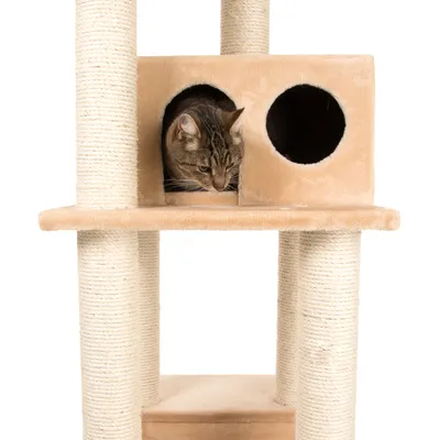 Kratzbaum mit beigem Plüsch, zwei Höhlen und Sisal umwickelten Säulen. Katze schaut aus einer der Höhlen heraus.