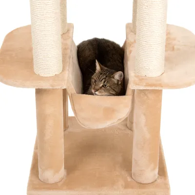 Kratzbaum mit beigem Plüschbezug, Hängematte und Sisal umwickelten Säulen. Katze liegt in der Hängematte.