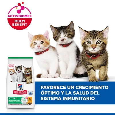 Hill's Science Plan Kitten <1 pollo