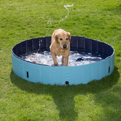 Piscina redonda azul para perros colocada sobre césped, con un perro de tamaño grande dentro y juguetes visibles en el agua.