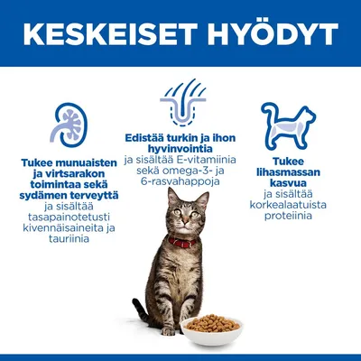 Tukee munuaisten, virtsarakon ja sydämen terveyttä, edistää turkin ja ihon hyvinvointia E-vitamiinilla ja omega-rasvahapoilla, ylläpitää lihasmassaa korkealaatuisen proteiinin avulla. Kuvassa kissa ruokakupin kanssa. Tukee munuaisten, virtsarakon ja sydämen terveyttä, edistää turkin ja ihon hyvinvointia E-vitamiinilla ja omega-rasvahapoilla, ylläpitää lihasmassaa korkealaatuisen proteiinin avulla. Kuvassa kissa ruokakupin kanssa.