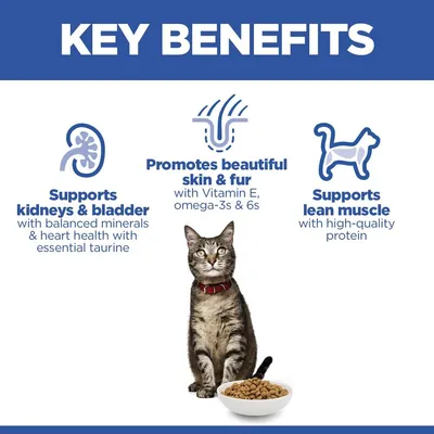 Hill's Science Plan Adult Lamb & Rice