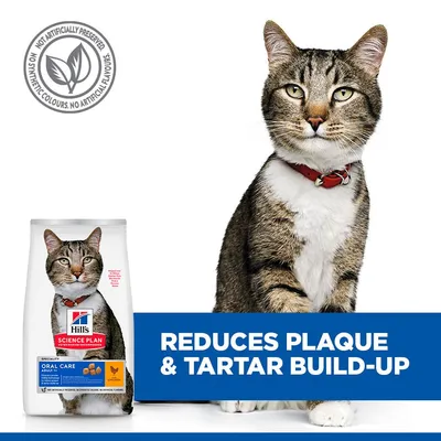 Hill's Science Plan Adult Oral Care Chicken