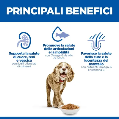 Hill's Science Plan Senior 11+ Small & Mini con Pollo