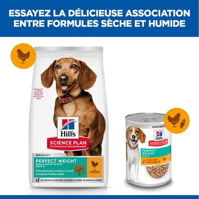 Hill's Science Plan Perfect Weight Adulte 1+ Croquettes et nourriture humide au poulet, combinaison de nourriture sèche et humide pour chiens illustrée.