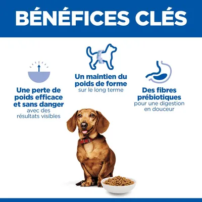 Avantages clés : perte de poids efficace et sûre, maintien du poids à long terme, fibres prébiotiques pour une digestion douce. Chien représenté avec une gamelle.
