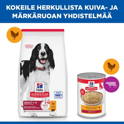 Hill's Science Plan Adult 1–6 Medium kana