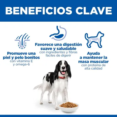 Hill's Science Plan Adult 1-6 Medium con pollo