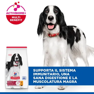 Hill's Science Plan Adult 1-6 Medium con Pollo