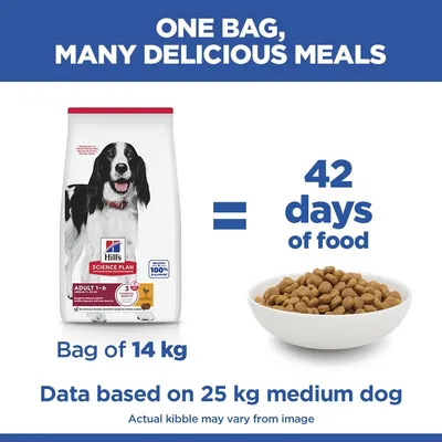 Hill's Science Plan Adult 1-6 Medium csirke
