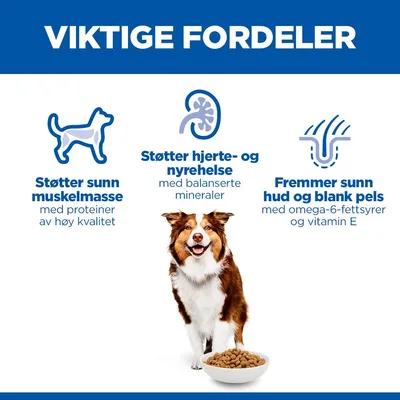 Hill's Science Plan Mature Adult 7+ Medium med kylling