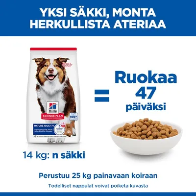 Hill's Science Plan Mature Adult 7+ Medium lammas & riisi