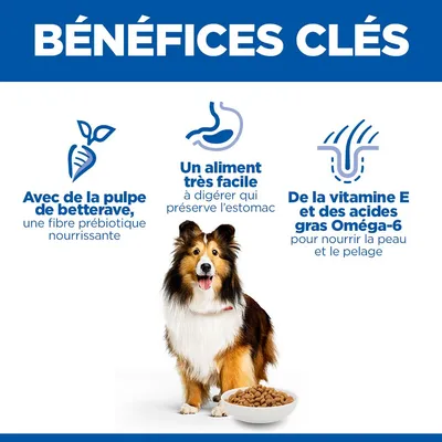 Avec des fibres de betterave comme fibres prébiotiques, aliment hautement digestible, vitamine E et acides gras oméga-6 pour la peau et la fourrure. Chien représenté à côté d'une gamelle de croquettes.