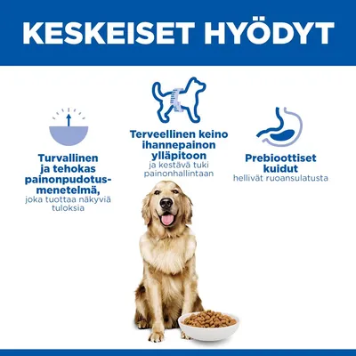 Grafiikka, jossa kolme etua: turvallinen ja tehokas tapa laihtua, terveellinen painonhallinta, prebioottiset kuidut tukevat ruoansulatusta. Grafiikka, jossa kolme etua: turvallinen ja tehokas tapa laihtua, terveellinen painonhallinta, prebioottiset kuidut tukevat ruoansulatusta.