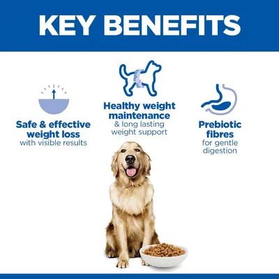 Hill's Science Plan Perfect Weight Adult 1+ Large csirke