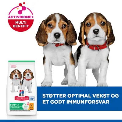 Hill's Science Plan Puppy <1 Medium med kylling