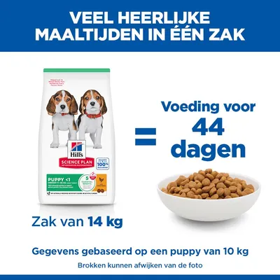 Hill's Science Plan Puppy <1 Medium met Kip