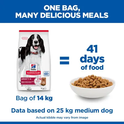 Hill's Science Plan Adult 1-6 Medium bárány & rizs