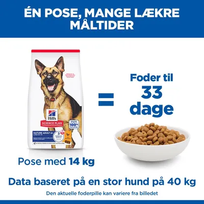 Hill's Science Plan Mature Adult 6+ Large, Kylling