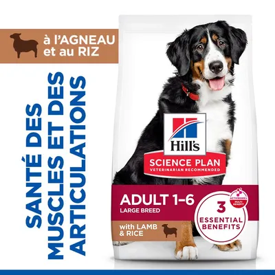 Hill's Science Plan Adult 1-5 Large Agneau, riz