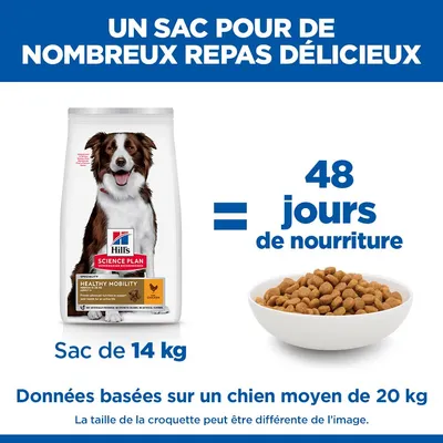 Hill's Science Plan Adult 1+ Healthy Mobility Medium poulet pour chien