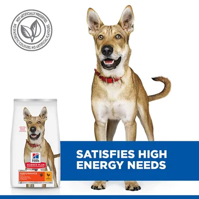 Hill's Science Plan Adult 1-6 Performance Medium with Chicken
