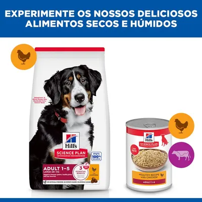 Hill's Science Plan Adult 1-5 Large com frango